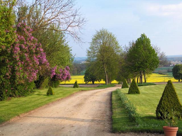Chambres D'Hotes Le Chateau De La Plante Thuré エクステリア 写真