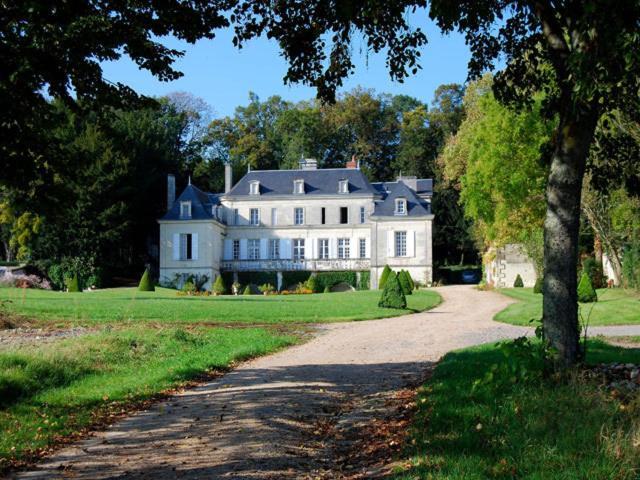 Chambres D'Hotes Le Chateau De La Plante Thuré エクステリア 写真