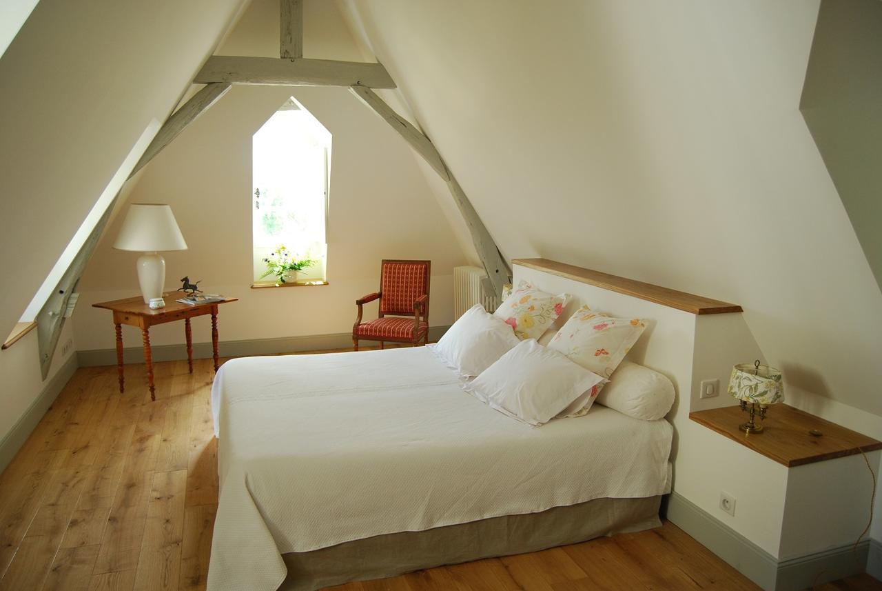 Chambres D'Hotes Le Chateau De La Plante Thuré エクステリア 写真