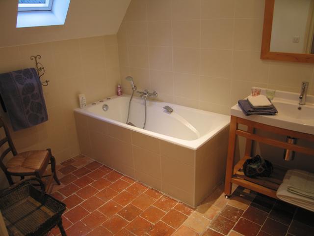 Chambres D'Hotes Le Chateau De La Plante Thuré エクステリア 写真